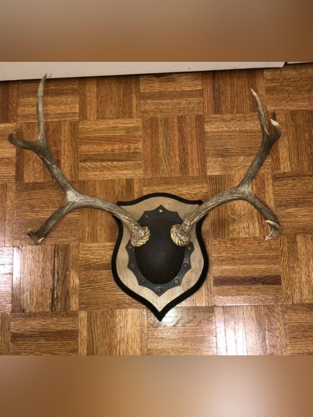 Vintage Antler Wall Mount